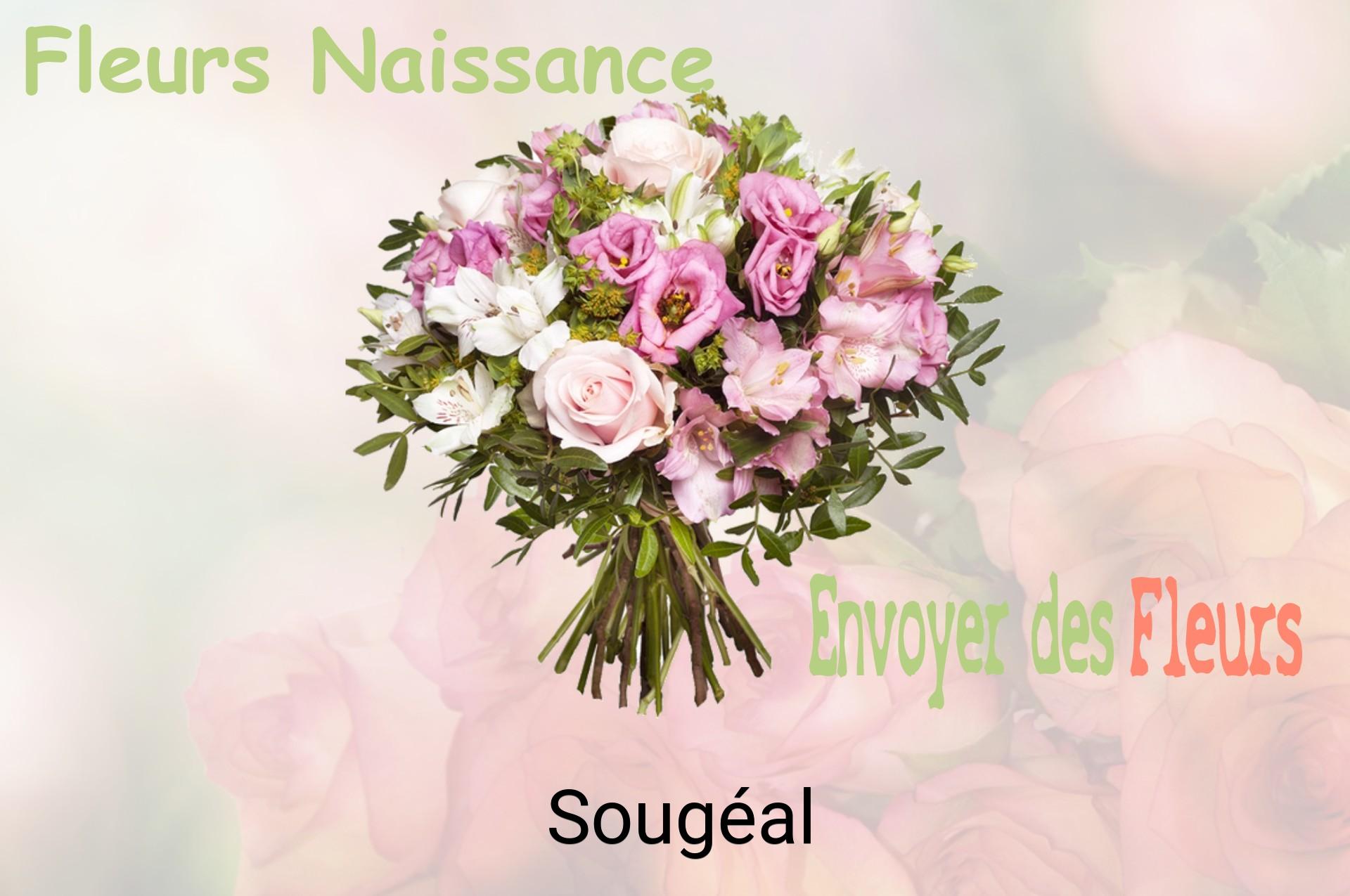 Bouquet de fleurs de naissance livré à Sougéal